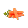 Vegetables Cabbage